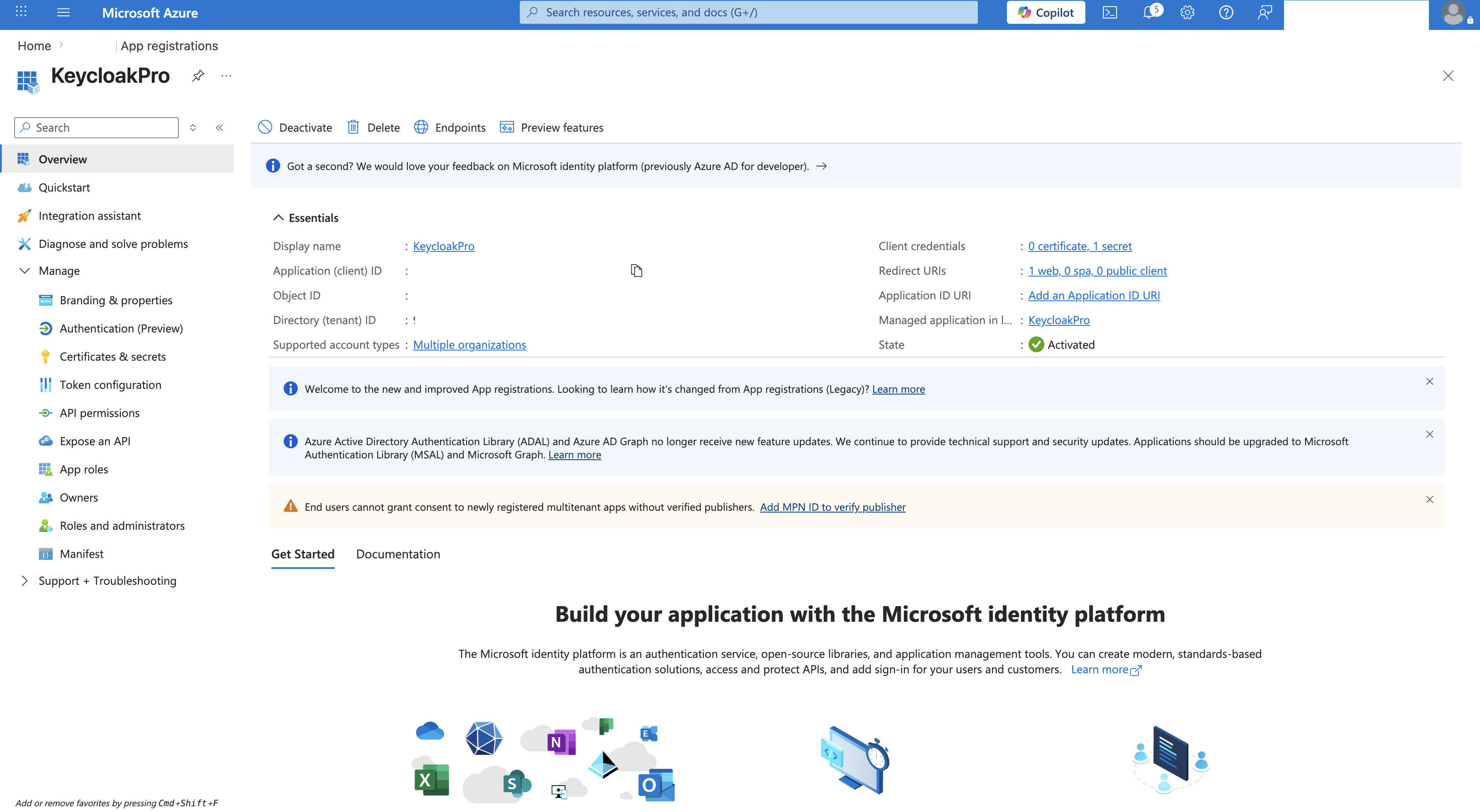 Azure Portal app registration Overview page showing the Application client ID and Directory tenant ID values