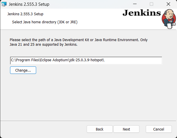 Jenkins MSI installer Java installation selection screen